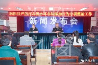 涡阳邢先生爆料新闻视频,揭秘新闻视频背后的惊人真相  第3张